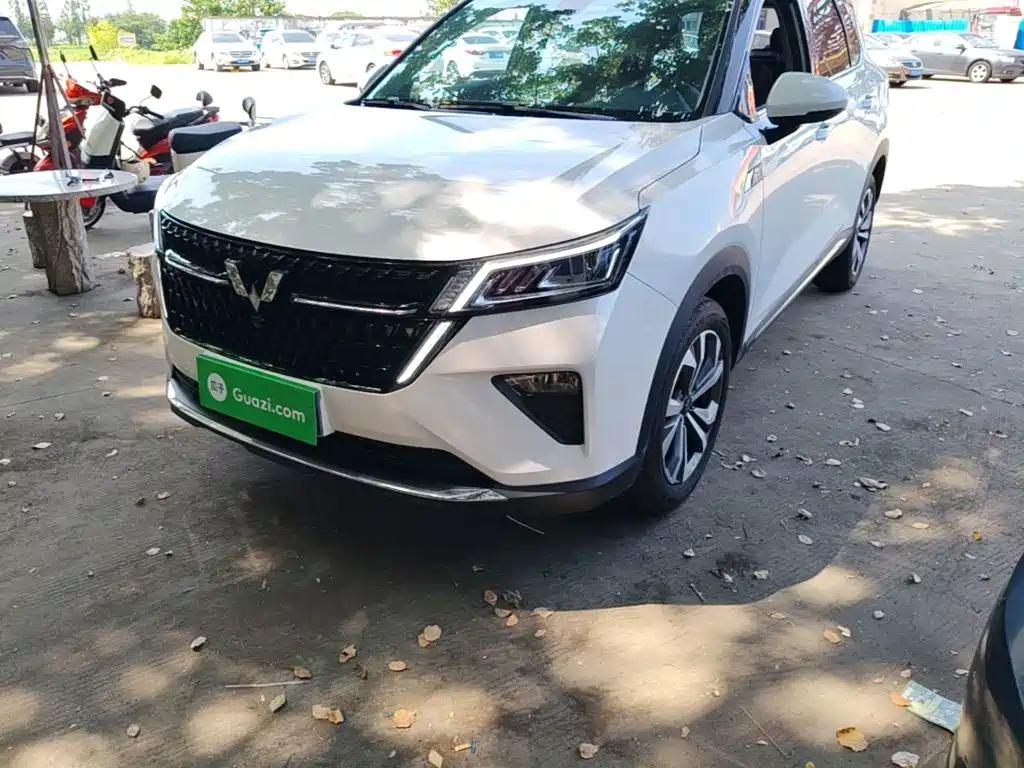 Фото 24 - Wuling Motors Wuling Xingchen