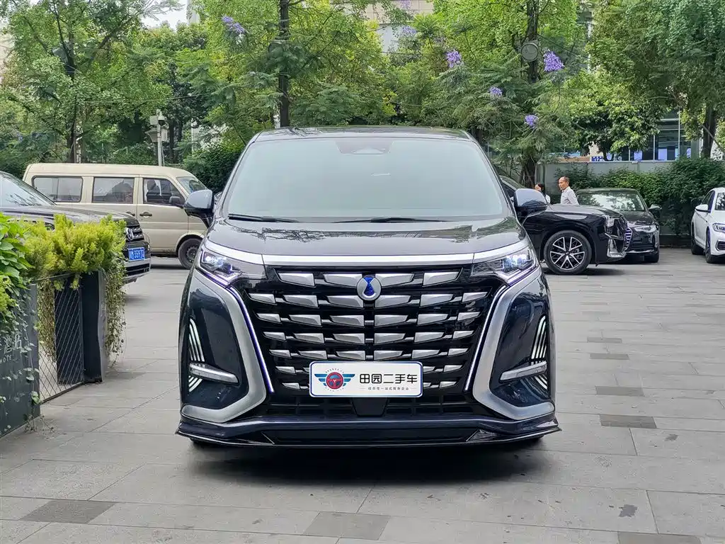 Denza D9 2022 DM-i 970 All-Wheel Drive Honor Edition фото 2