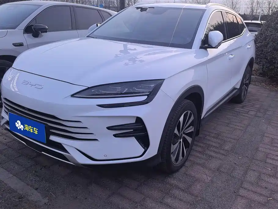 BYD SONGJIANG NEW ENERGY