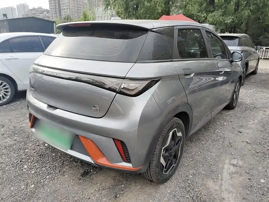 BYD Dolphin 2021 Model 405km Fashion Edition фото 7