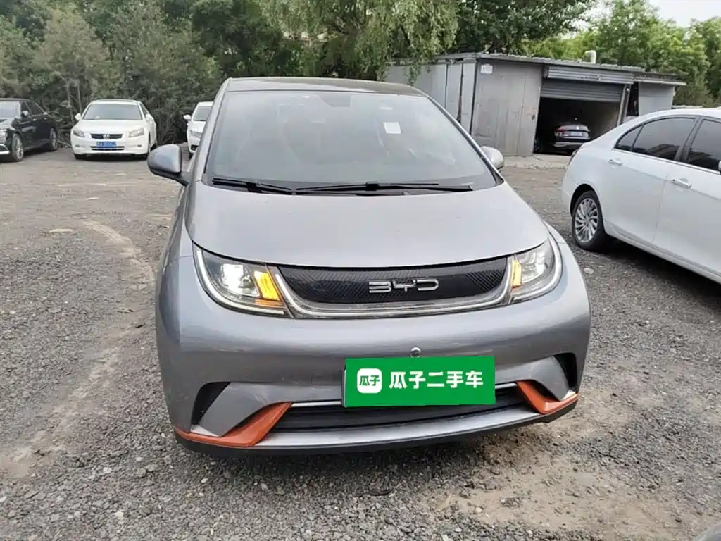 BYD Dolphin 2021 Model 405km Fashion Edition фото 3