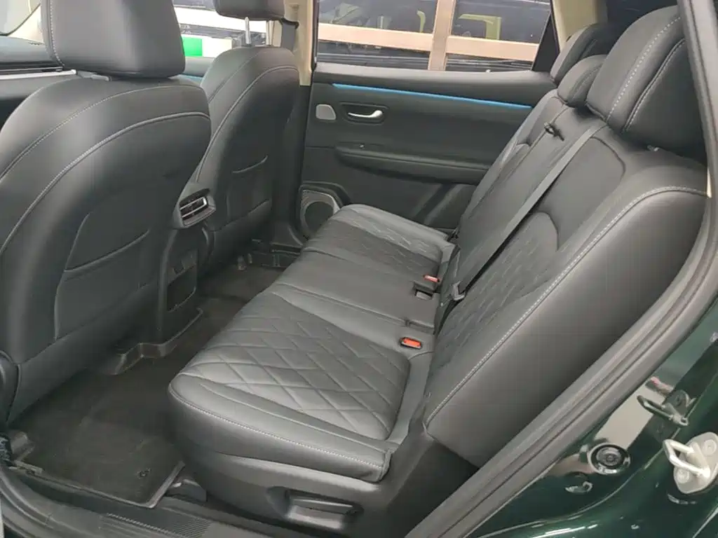 Landian E5 PLUS 2026 2026 165km Long Range First Edition Ultra 7-Seater