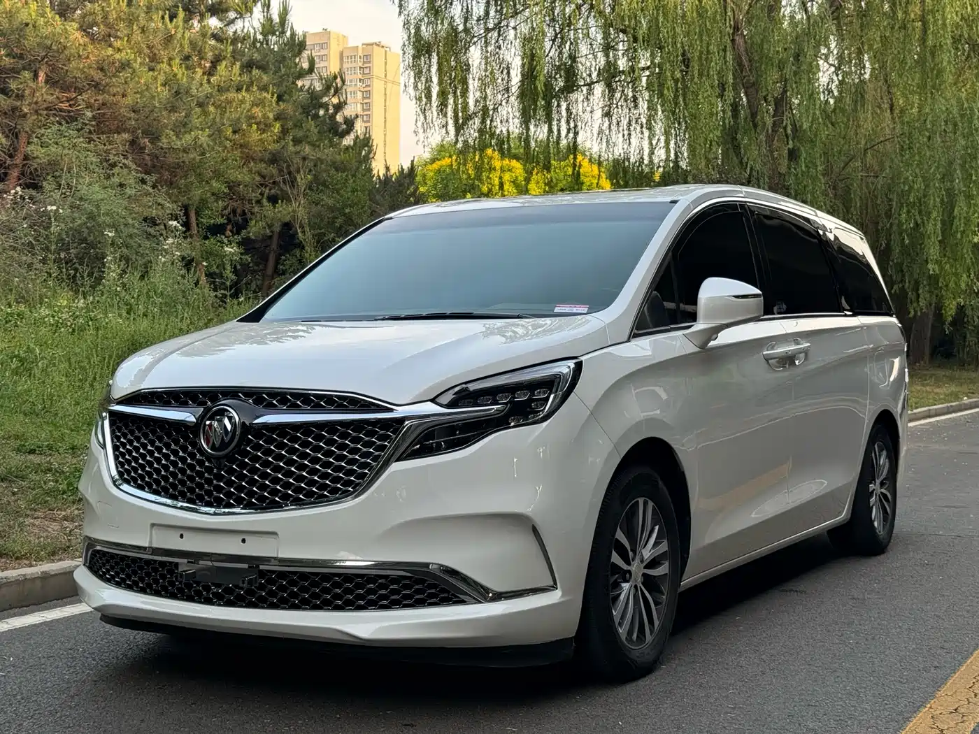 Buick GL8 2022 ES Landmark 653T Comfort