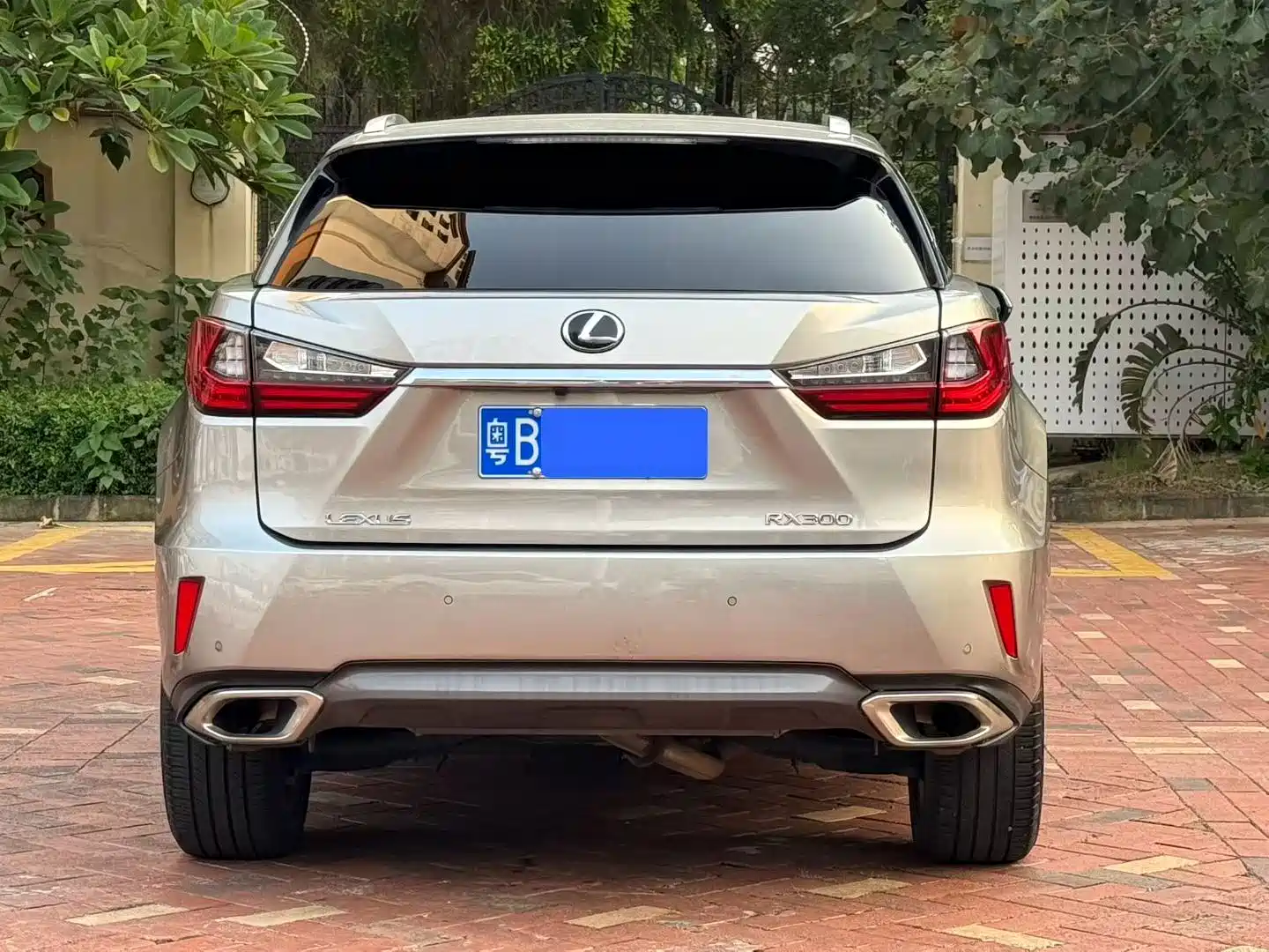 Фото 8 - Lexus RX