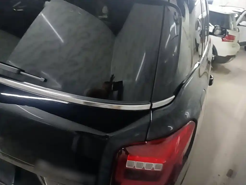 GAC Trumpchi Trumpchi GS8 2017 2017 320T 2WD Luxury Smart Connect (7-seater)