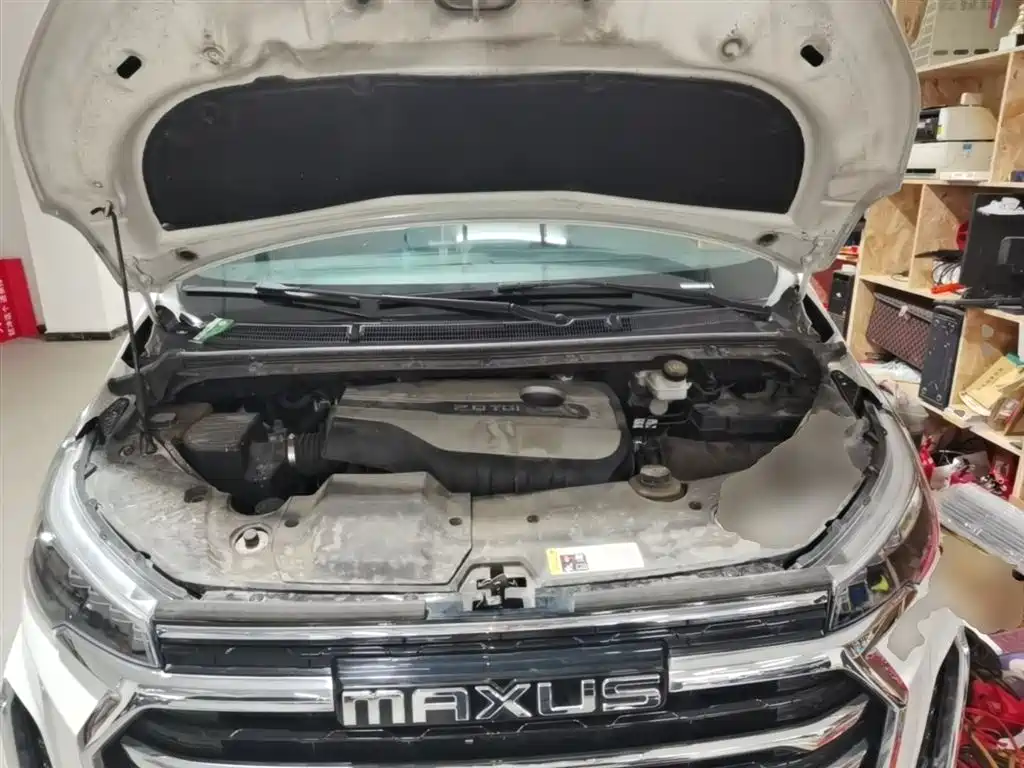 SAIC Maxus Maxus G20 2021 PLUS 2.0T Gasoline Automatic Elegance Edition фото 20
