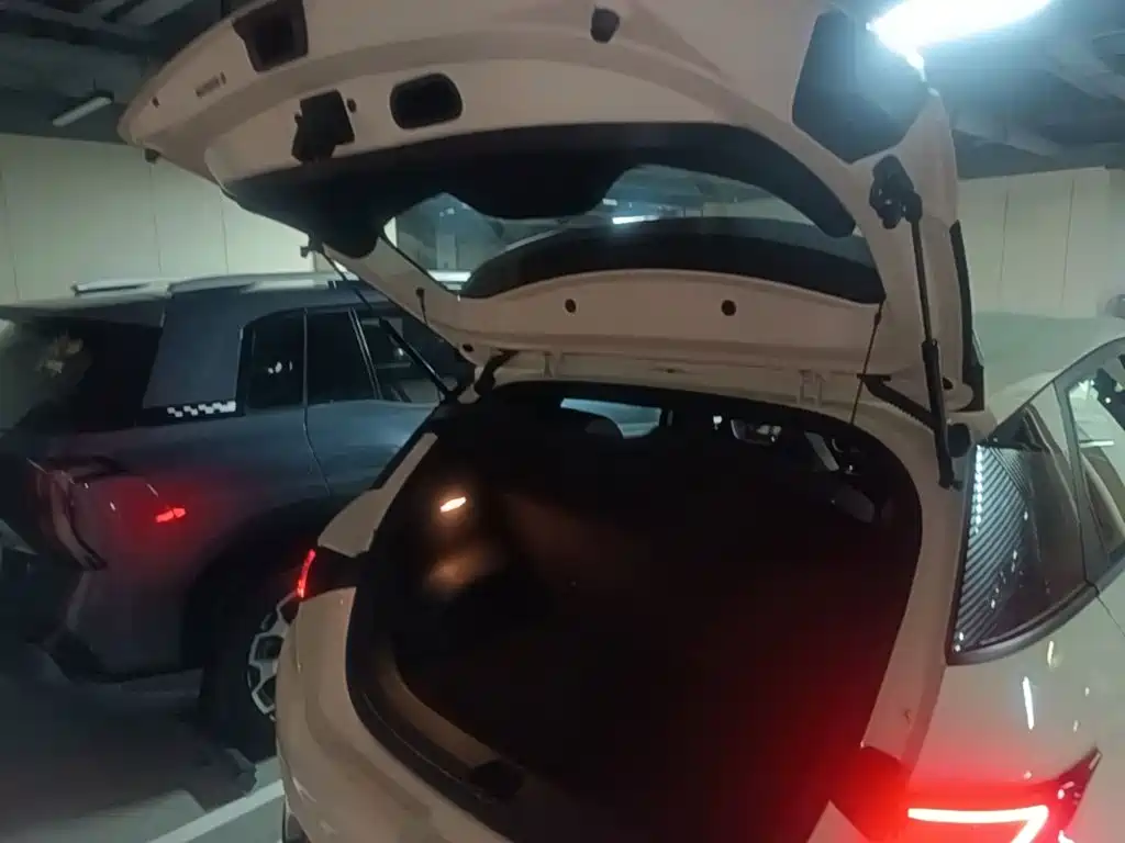 BYD Dolphin 2026 2025 420km Freedom Edition