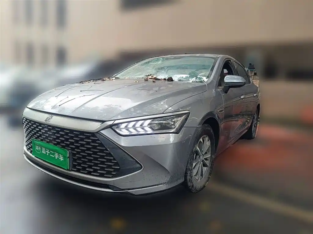 BYD Qin PLUS 2023 Champion Edition DM-i 55KM Leading