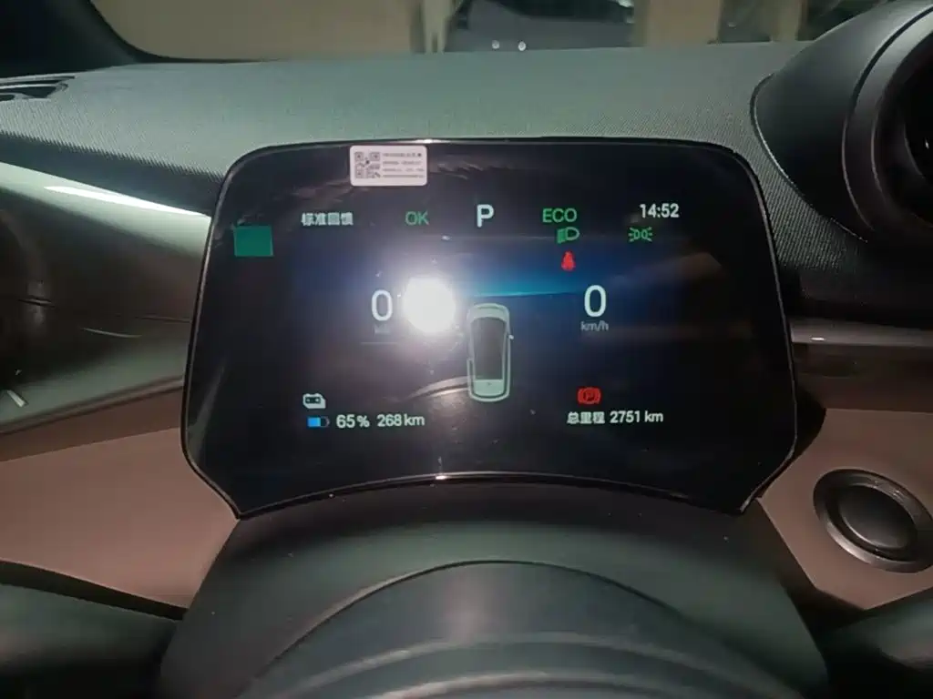 Photo 12 - BYD Dolphin