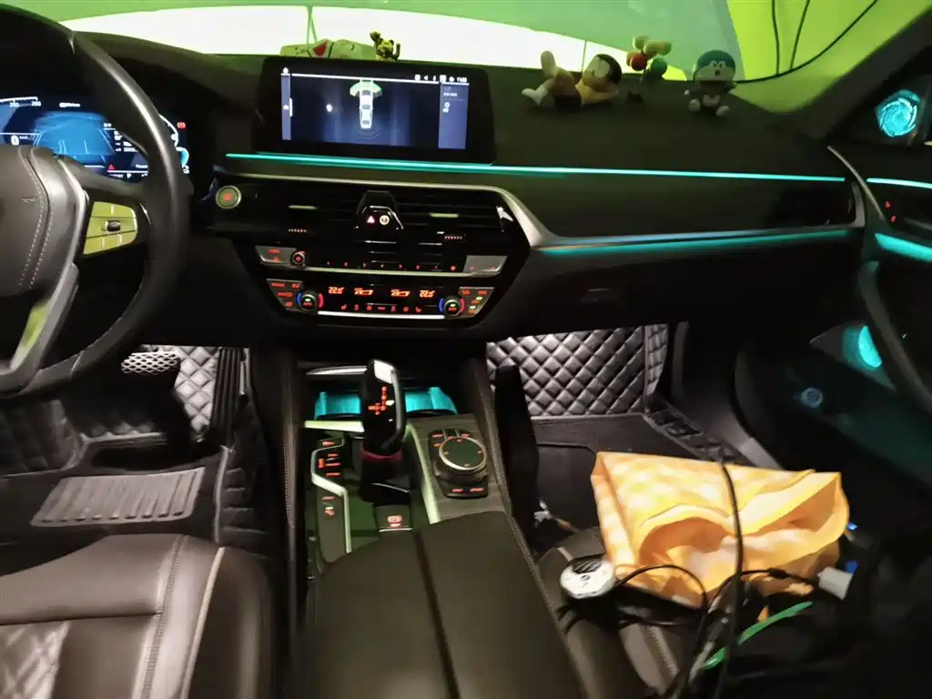 BMW 5 Series New Energy 2020 530Le Range Upgrade Luxury Package фото 14