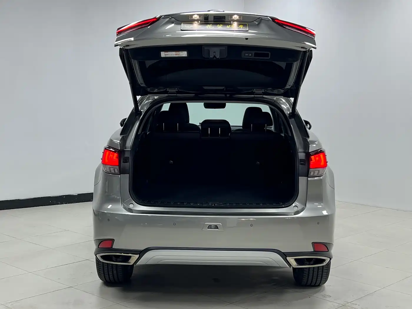 Lexus RX 2020 300 4WD Elegance Edition China VI фото 12