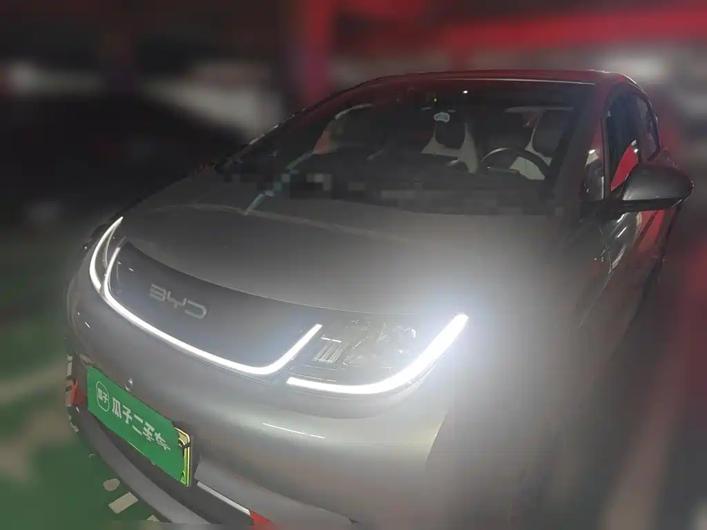 BYD Dolphin 2021 405km Freedom Edition