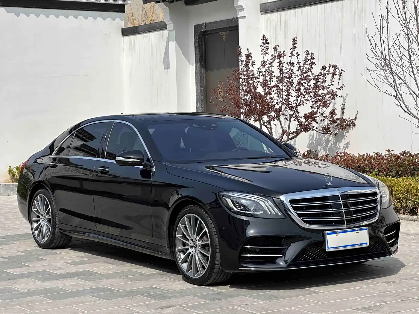 Mercedes-Benz S-Class 2019 S 450 L 4MATIC фото 3