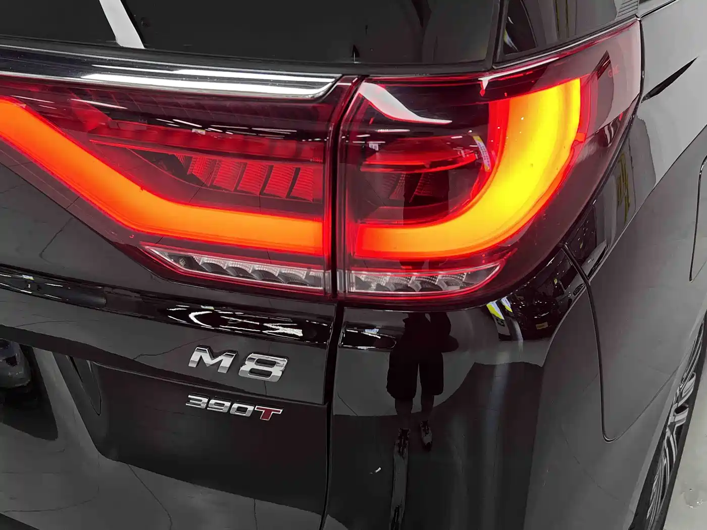 GAC Trumpchi Trumpchi M8 2023 Leading Series 390T Prestige Edition фото 15