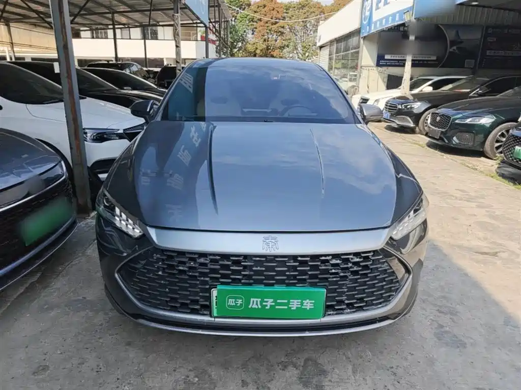 BYD Qin PLUS 2023 Champion Edition DM-i 120KM Excellence фото 3