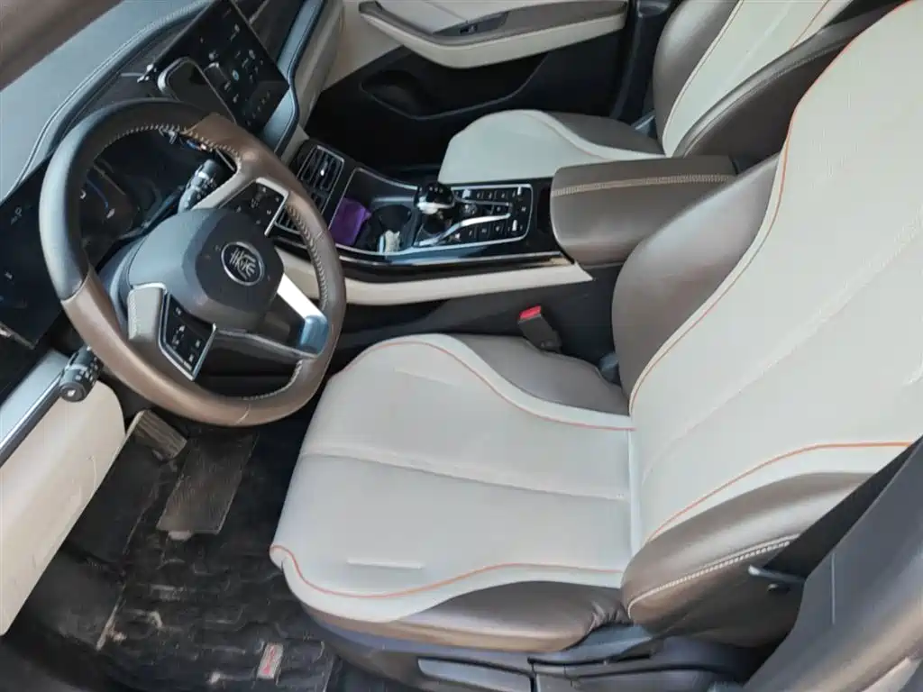 BYD Qin PLUS 2023 Champion Edition DM-i 120KM Excellence фото 15