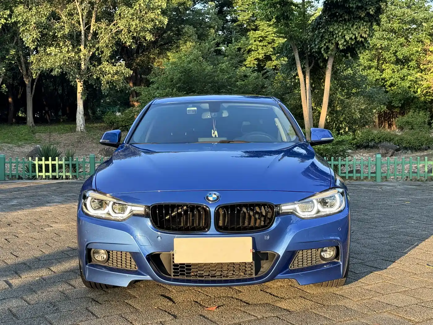 BMW 3 Series 2018 320Li Leading M Sport Package фото 2