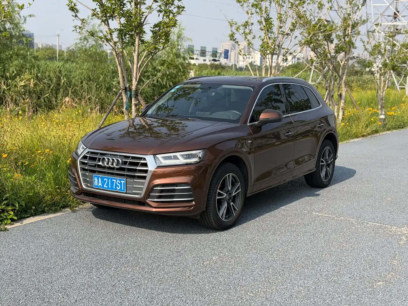 Audi Q5L 2018 45 TFSI Exclusive Fashion (China V)