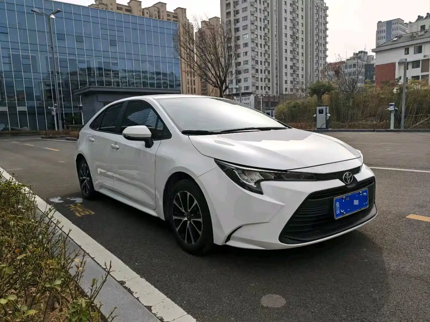 Toyota Levin 2023 TNGA 1.5L CVT Progressive фото 3