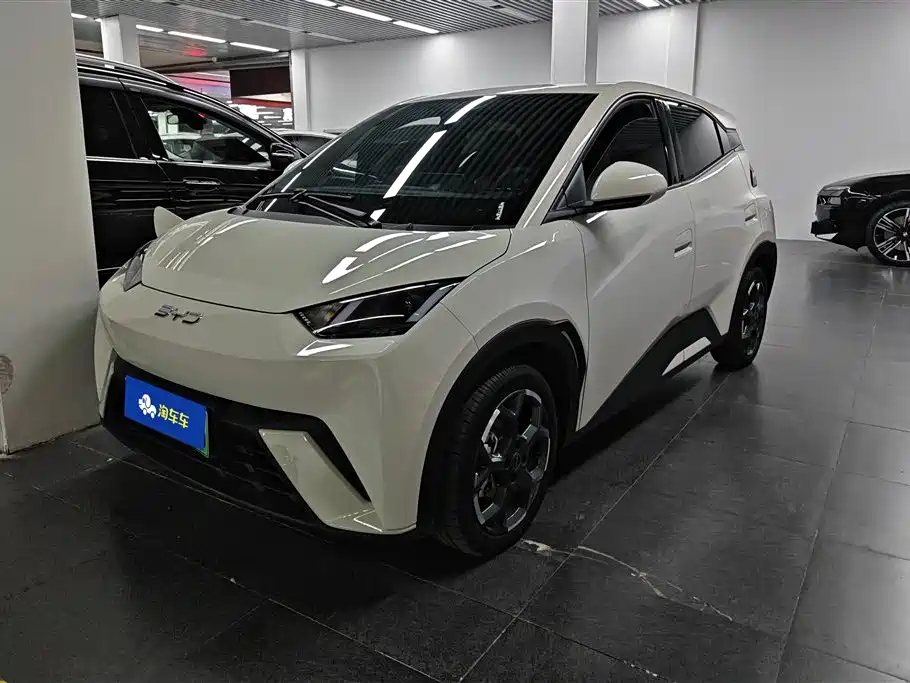 BYD Seagull 2025 305km Freedom
