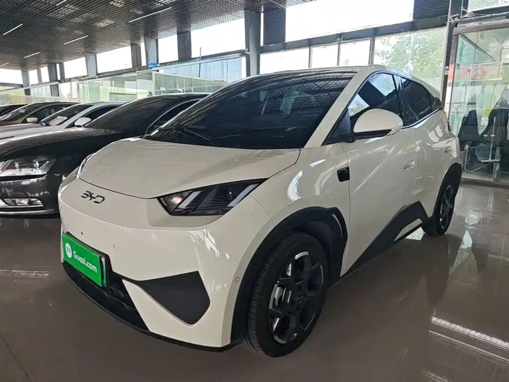 BYD Seagull 2025 Smart Drive Edition 305km Freedom Version фото 2