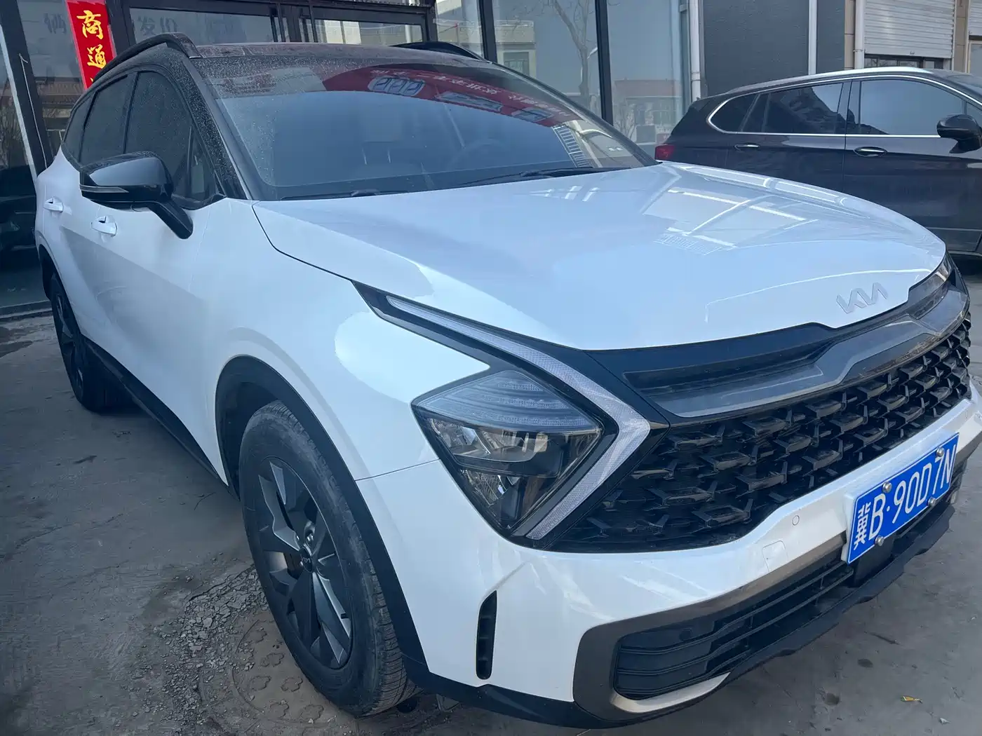 KIA LION PLATINUM EXPANDS THE WORLD