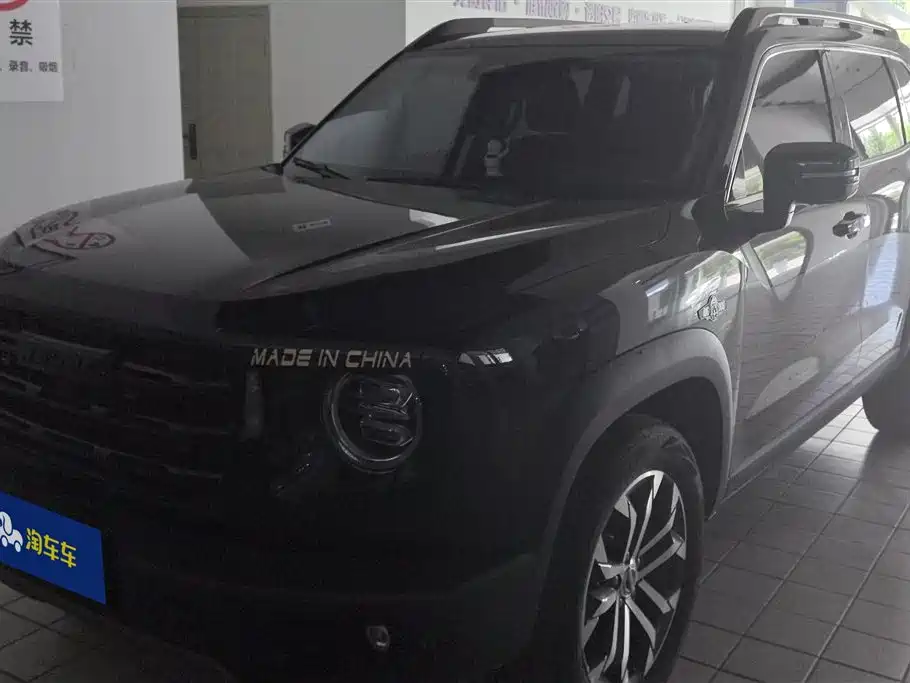 Haval Big Dog 2021 1.5T DCT 2WD Border Collie - Wangcai Edition