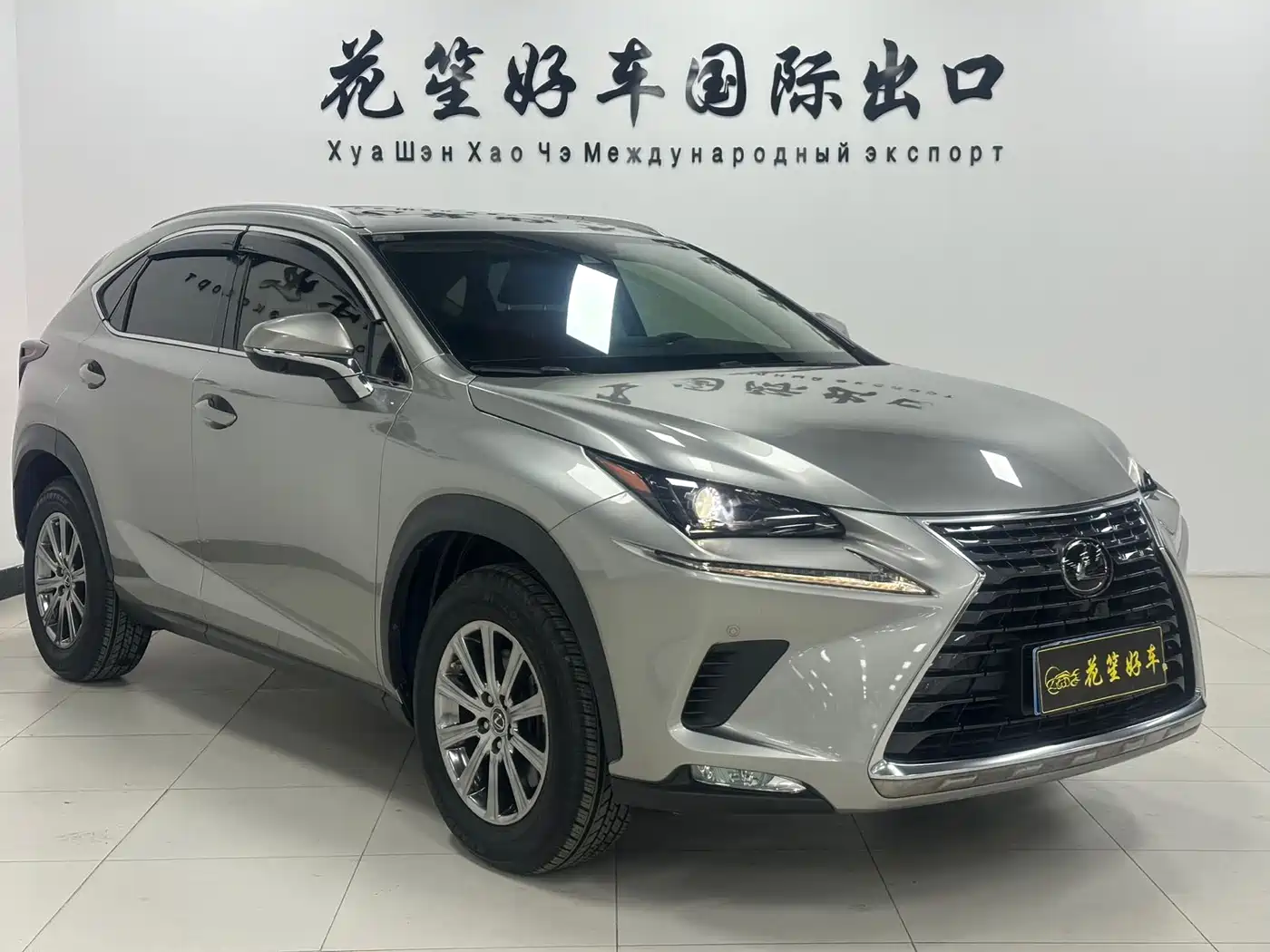 LEXUS NX