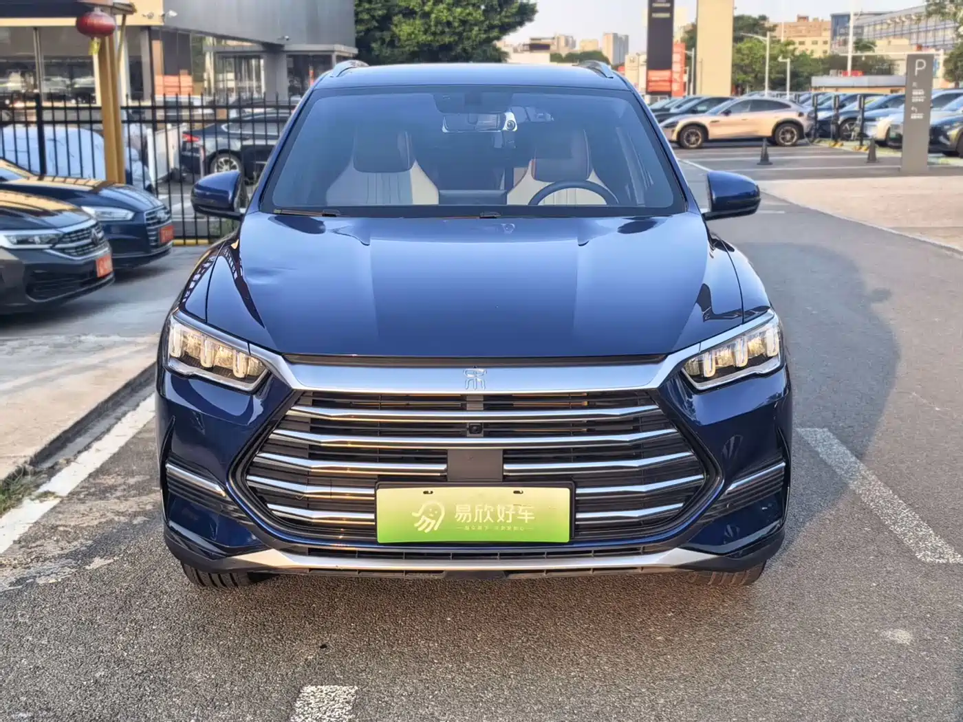 BYD Song Pro New Energy 2022 DM-i 51km Luxury фото 2