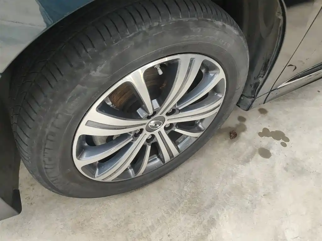 GAC Trumpchi Trumpchi M8 2020 Pilot 390T Prestige Edition фото 23