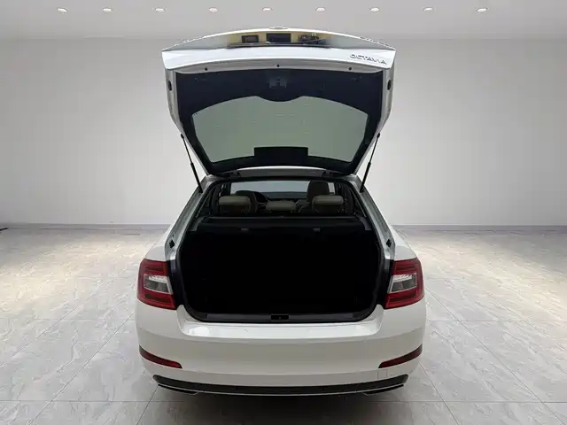 Škoda Octavia 2017 1.6L Automatic Smart Edition фото 15