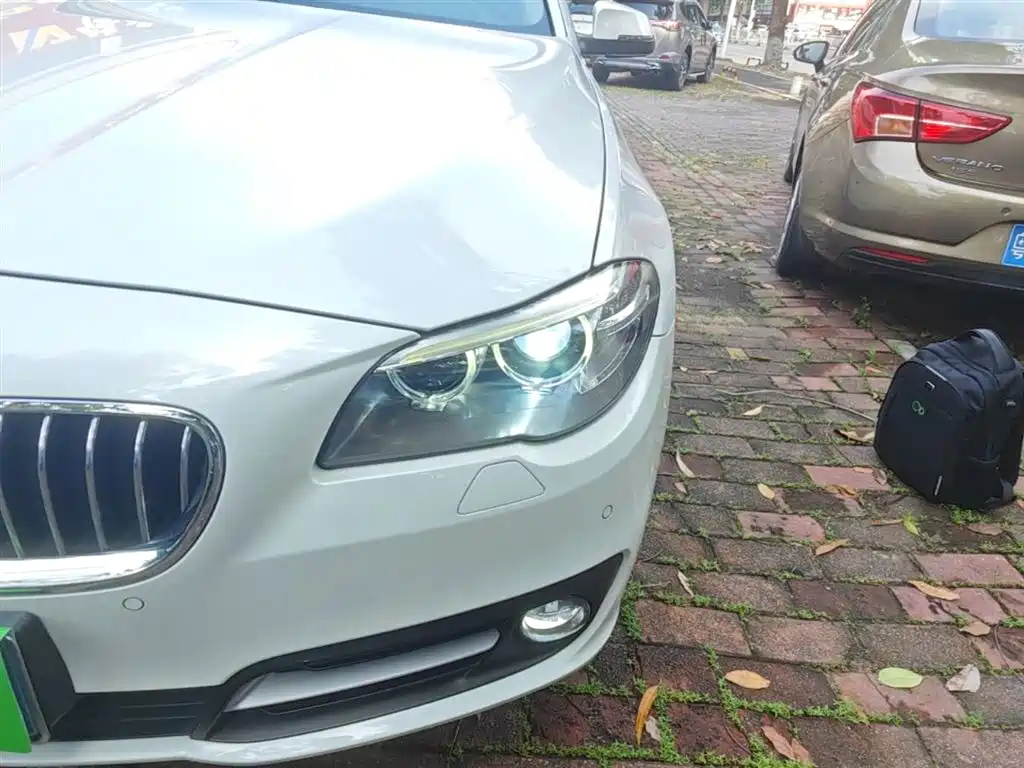 BMW 5 Series 2014 525Li Leading фото 24