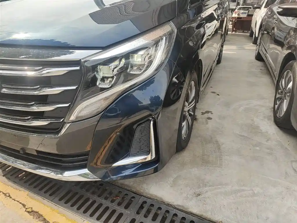 GAC Trumpchi Trumpchi M8 2020 Pilot 390T Prestige Edition фото 24