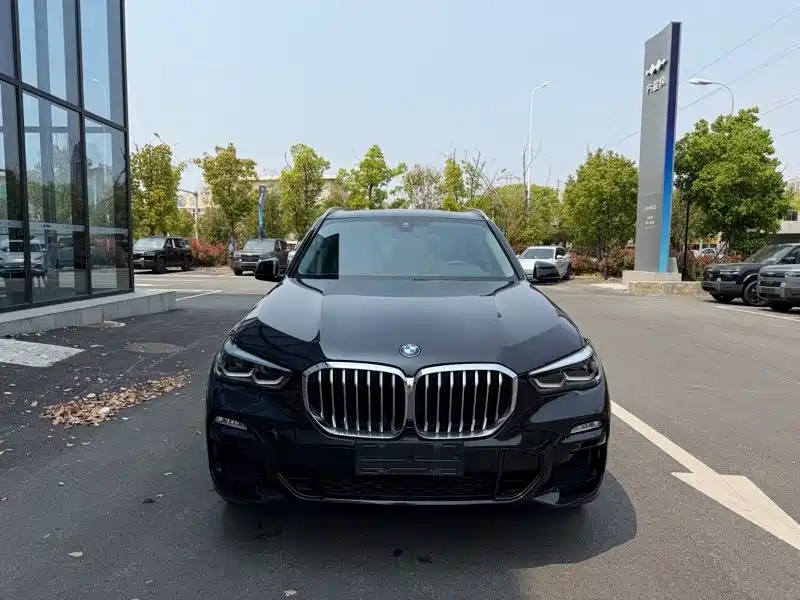 BMW X5 (Import) 2020 xDrive30i M Sport Package фото 2
