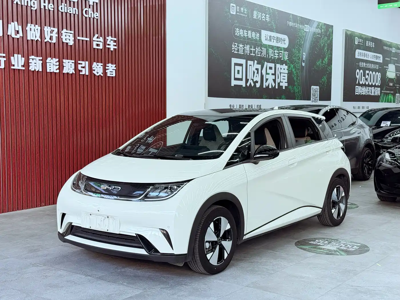BYD Dolphin 2024 Glory Edition 420km Fashion Edition