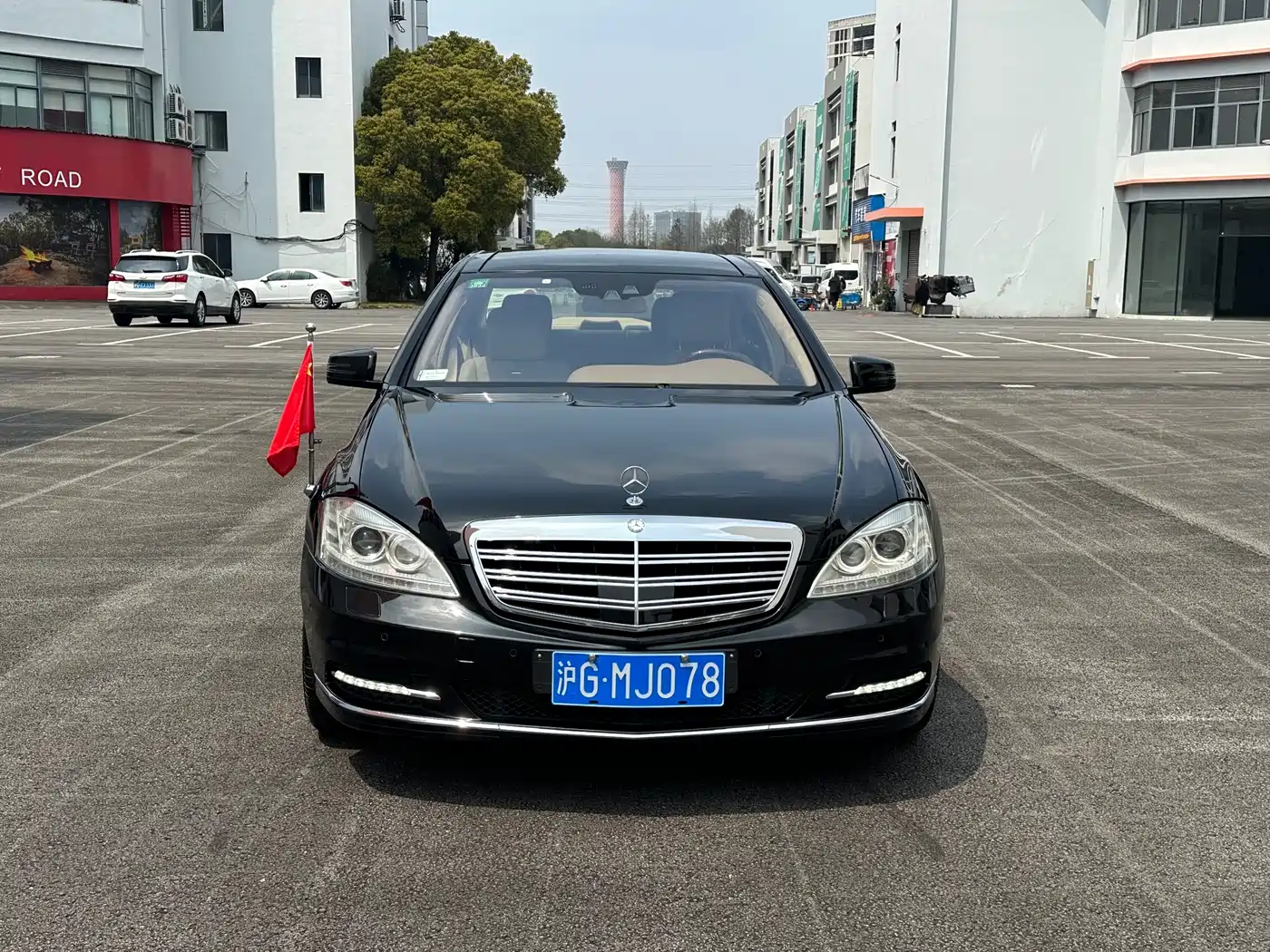 Mercedes-Benz S-Class 2010 S 600 L фото 2
