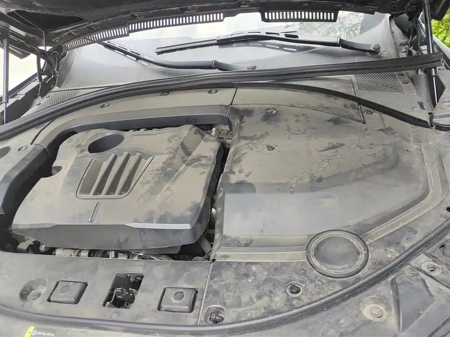 WEI PAI WEI BRAND VV7