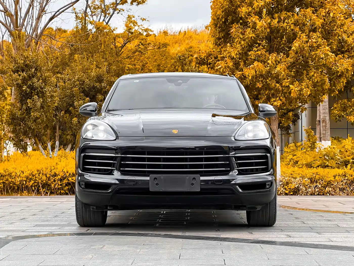 Porsche Cayenne 2023 Cayenne 3.0T фото 2