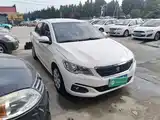 صورة 4 - Peugeot 301