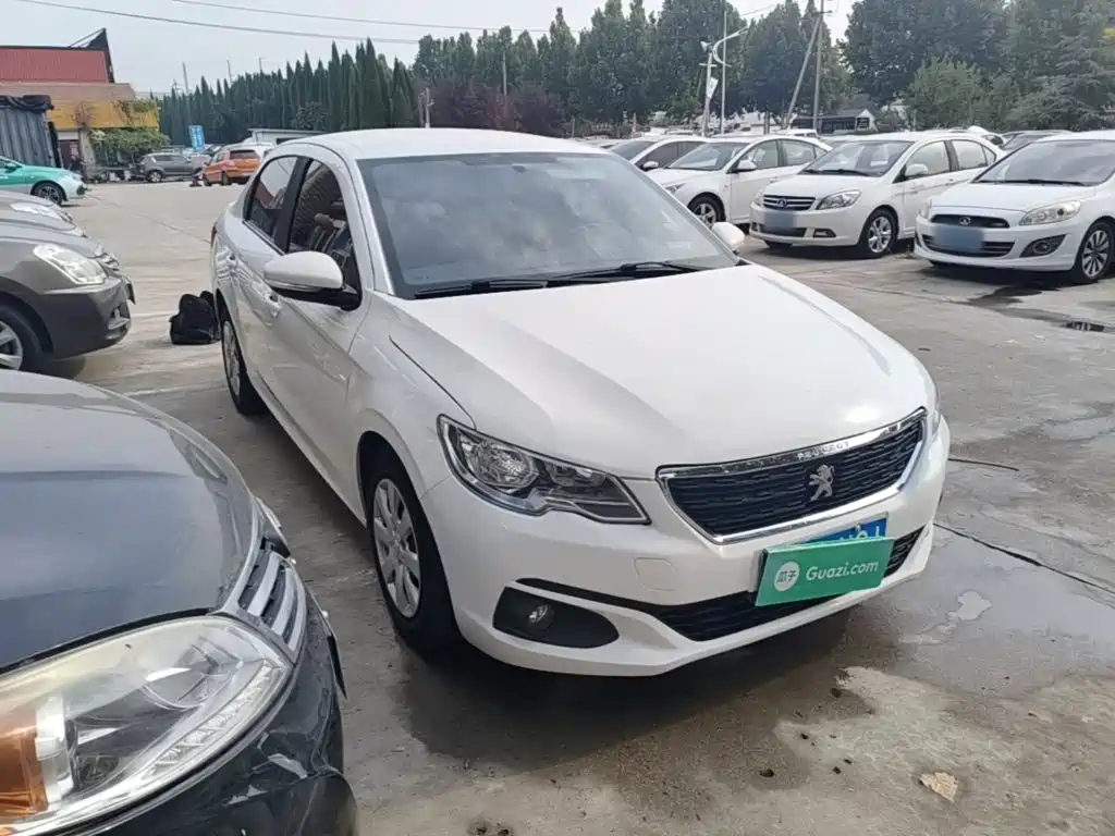 صورة 4 - Peugeot 301