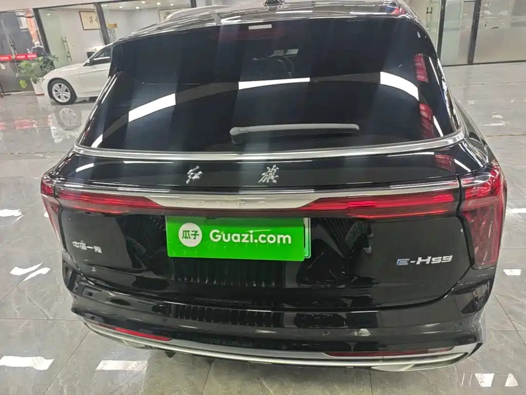 Hongqi E-HS9 2023 2022 690km Qi Xiang Edition (6-seater)