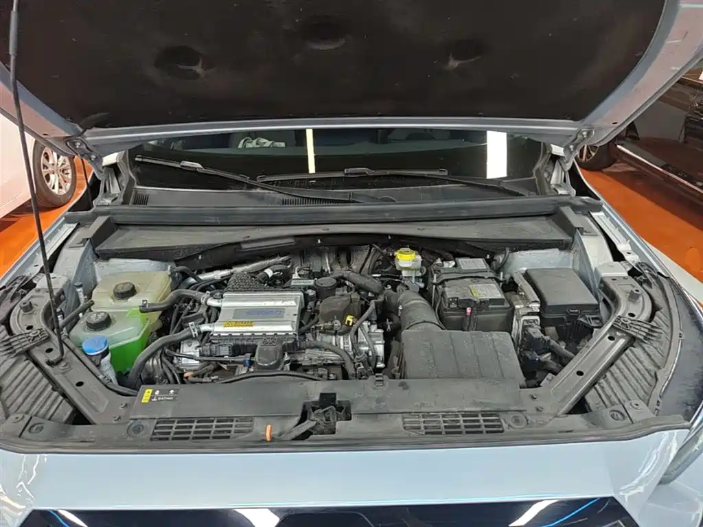 GAC Trumpchi Trumpchi GS4 2024 MAX 1.5T Flagship Edition фото 20