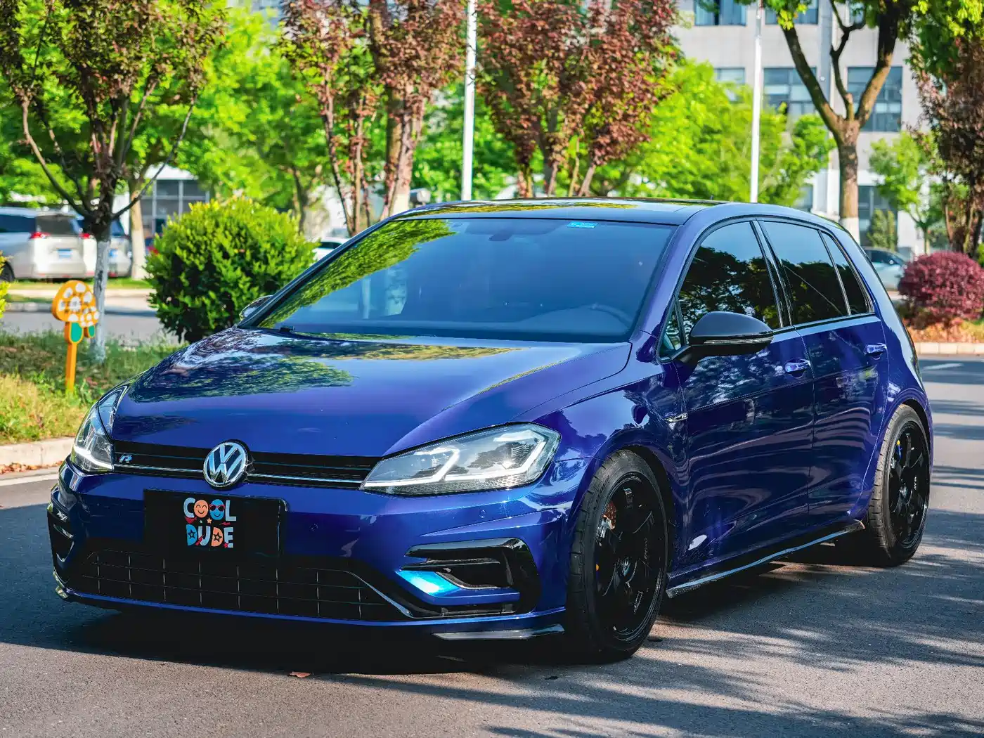 Volkswagen Golf (Import) 2017 2.0TSI R