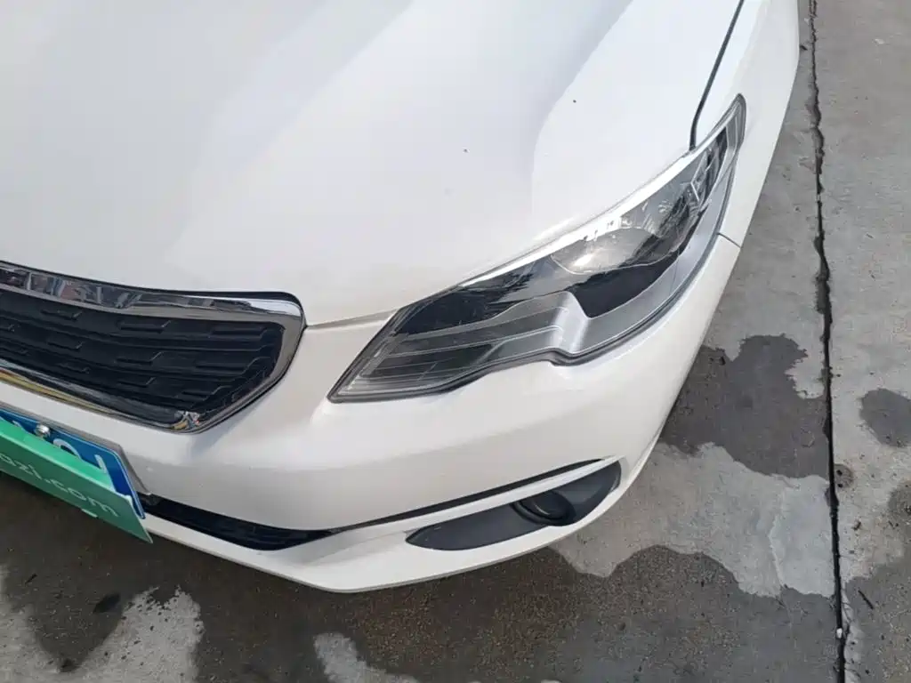 صورة 24 - Peugeot 301
