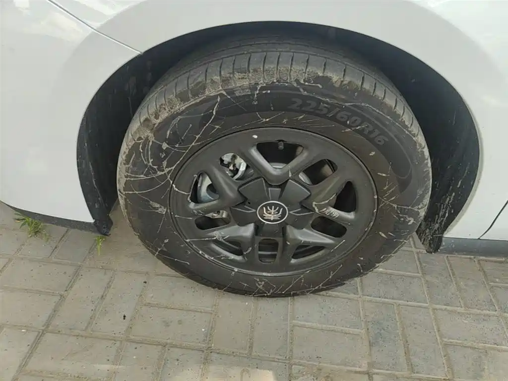 BYD Qin PLUS 2025 DM-i Smart Drive 55KM Leader фото 23