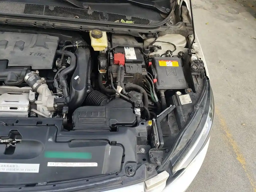 Фото 21 - Peugeot 308S