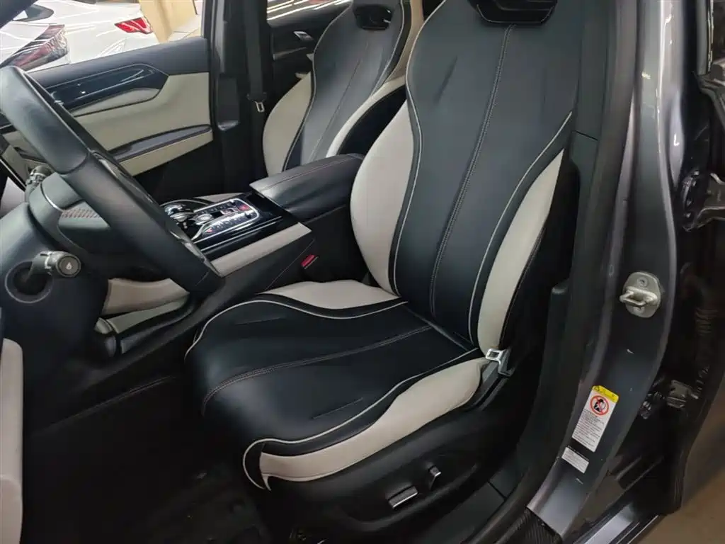 BYD Qin PLUS 2021 DM-i 55KM Flagship фото 15