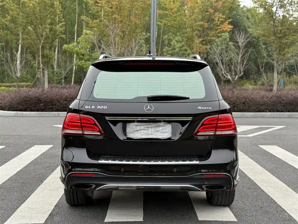 Mercedes-Benz GLE 2017 GLE 320 4MATIC Luxury фото 6