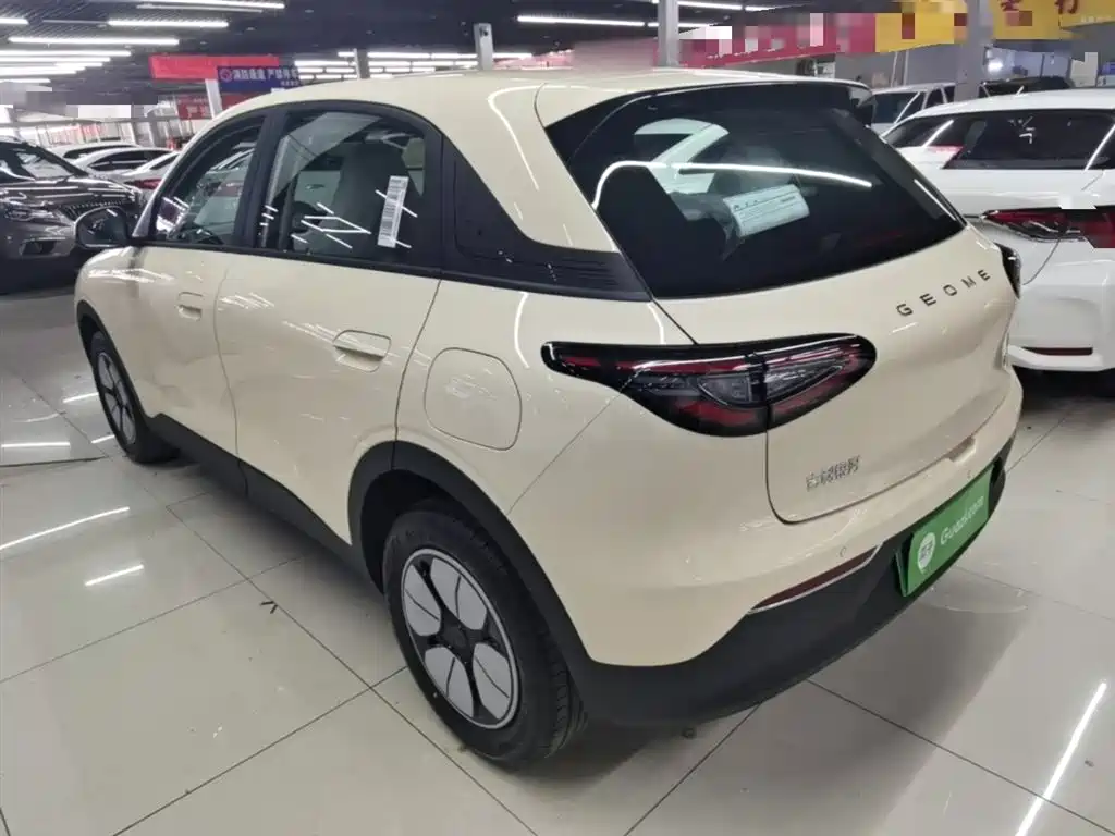 Geely Galaxy Starry Wish 2026 Model 310km Dream Edition фото 5