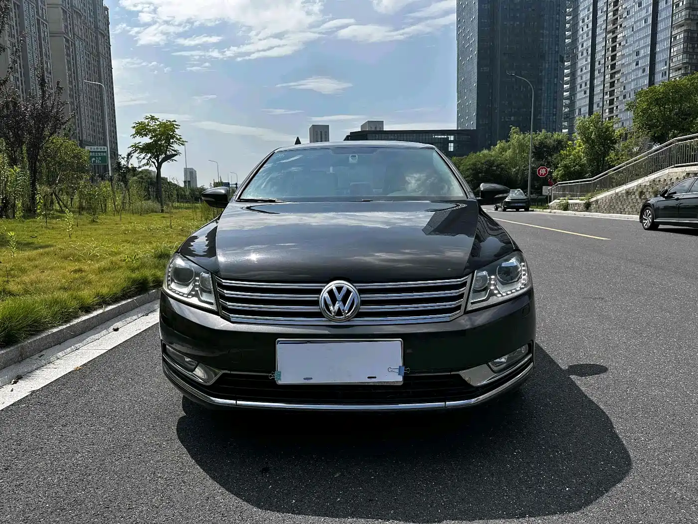 Volkswagen Magotan 2013 2.0TSI Luxury фото 4